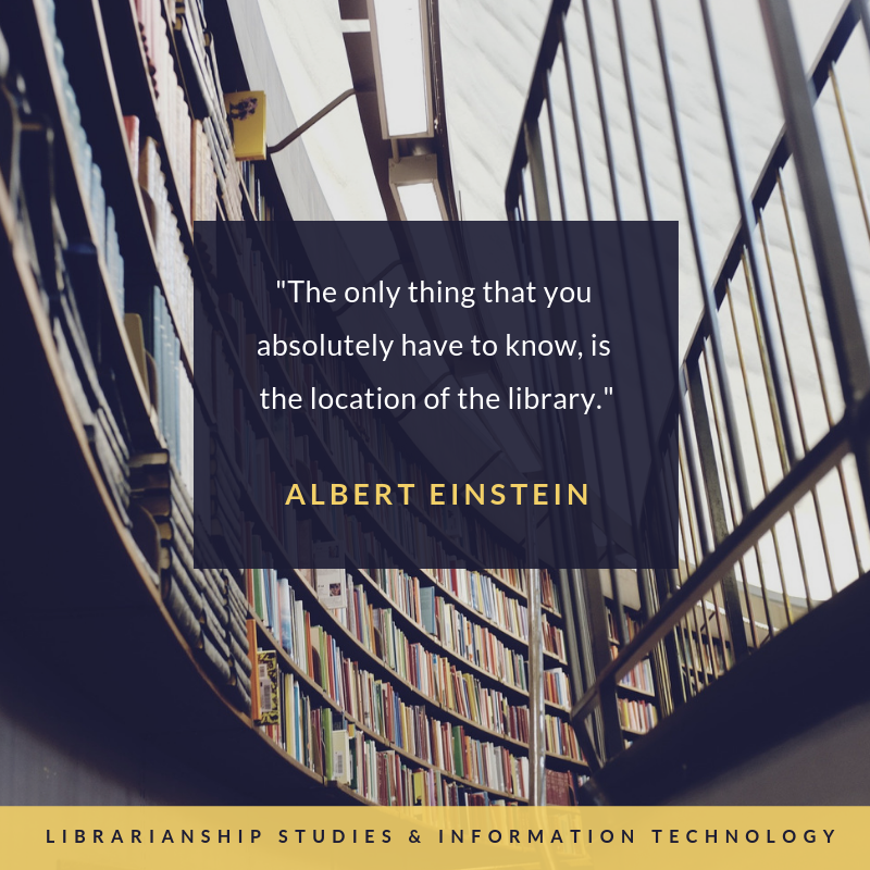 Albert Einstein Quote on Librarys